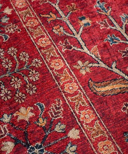 Nomadian 5095 MLS - nomadian 5095 mls normal 4