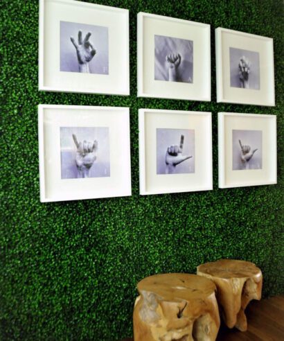 ΠΑΝΕΛ ΦΥΛΛΩΣΙΑΣ BERLIN 50 Χ 50 A146 BOXWOOD NewPlan - 6 16 ccga146 2