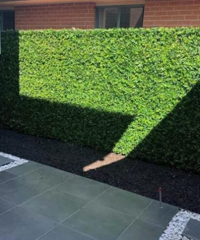 ΠΑΝΕΛ ΦΥΛΛΩΣΙΑΣ BILBAO 50 Χ 50 F028 SUMMER CHERRY RAIN NewPlan - 6 16 ccgf028 2