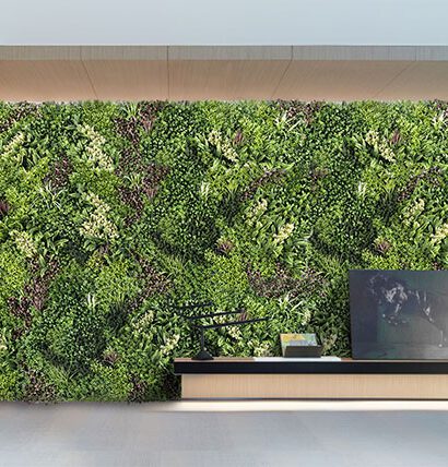 ΚΑΘΕΤΟΣ ΚΗΠΟΣ PERSIA 100 Χ 100 A001 HERA NewPlan - 6 16 ccgk001a 2