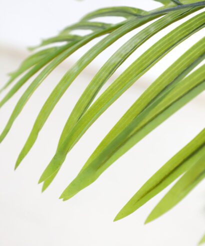 PALM TREE NP0063_120 ΥΨΟΣ 120cm NewPlan - 6 17 np0063 120 2