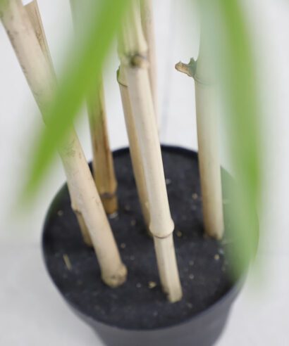 BAMBOO NP0070_210 ΥΨΟΣ 210cm NewPlan - 6 17 np0070 210 2