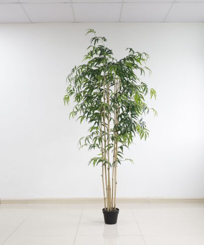 BAMBOO NP0070_210 ΥΨΟΣ 210cm NewPlan - 6 17 np0070 210 3