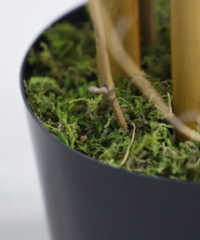 BAMBOO NP0076_210 ΥΨΟΣ 210cm NewPlan - 6 17 np0076 210 2