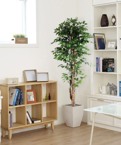 FICUS TREE NP0081_210 ΥΨΟΣ 210cm NewPlan - 6 17 np0081 210 2
