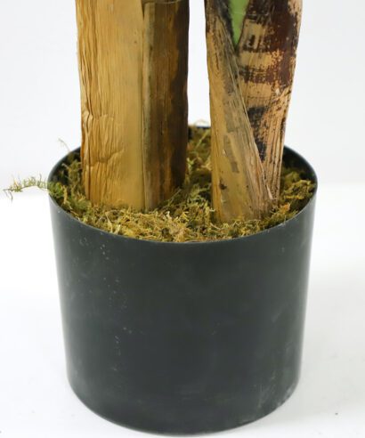 BANANA TREE NP014_120_22 ΥΨΟΣ 120cm NewPlan - 6 17 np014 120 22 3