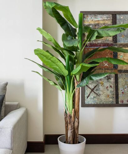 BANANA TREE NP017_240_22 ΥΨΟΣ 240cm NewPlan - 6 17 np017 240 22 4