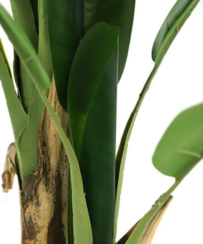 BANANA TREE NP018_280_22 ΥΨΟΣ 280cm NewPlan - 6 17 np018 280 22 2