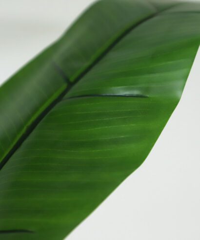 BANANA TREE NP018_280_22 ΥΨΟΣ 280cm NewPlan - 6 17 np018 280 22 3