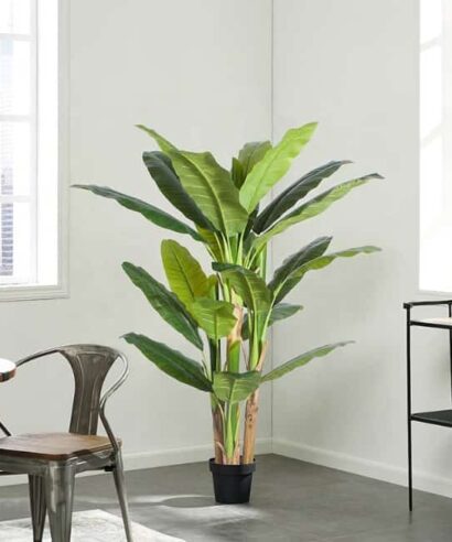 BANANA TREE NP018_280_22 ΥΨΟΣ 280cm NewPlan - 6 17 np018 280 22 4