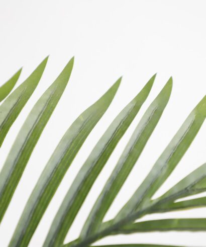 PALM TREE NP0266_140 ΥΨΟΣ 140cm NewPlan - 6 17 np0266 140 3