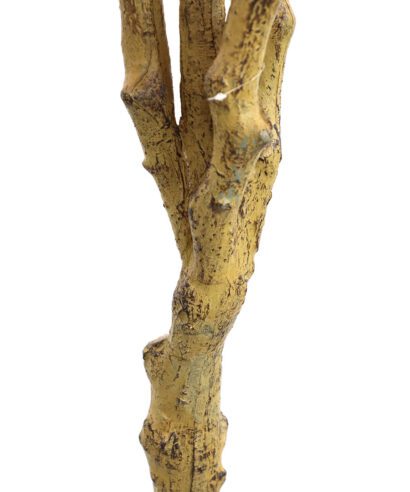 BOUGAINVILLEA NP0421_210 ΥΨΟΣ 210cm NewPlan - 6 17 np0421 210 2