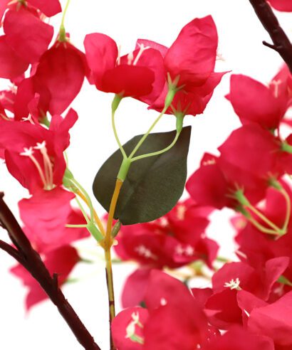 BOUGAINVILLEA NP0421_210 ΥΨΟΣ 210cm NewPlan - 6 17 np0421 210 4