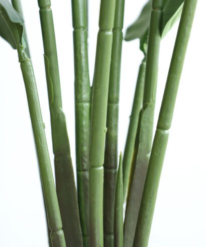 BANANA TREE NP1411_160 ΥΨΟΣ 160cm NewPlan - 6 17 np1411 160 2