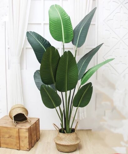 BANANA TREE NP1411_160 ΥΨΟΣ 160cm NewPlan - 6 17 np1411 160 4