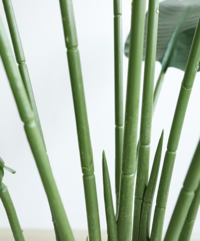 BANANA TREE NP1412_180 ΥΨΟΣ 180cm NewPlan - 6 17 np1412 180 2