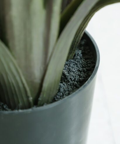 BANANA TREE NP1412_180 ΥΨΟΣ 180cm NewPlan - 6 17 np1412 180 3