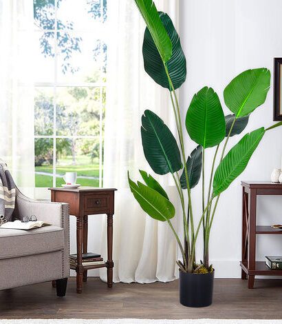 BANANA TREE NP1412_180 ΥΨΟΣ 180cm NewPlan - 6 17 np1412 180 4