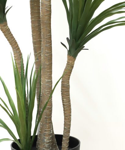 DRACAENA NP_28_155 ΥΨΟΣ 155cm NewPlan - 6 17 np28 155 2