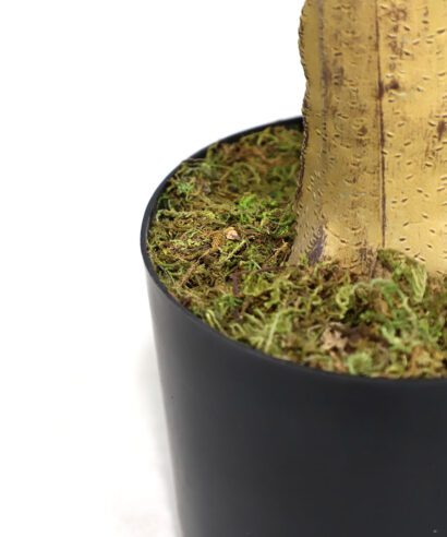 LEMON TREE NP_30_170 ΥΨΟΣ 170cm NewPlan - 6 17 np30 170 3