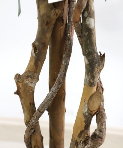 FICUS TREE NP5209_180 ΥΨΟΣ 180cm NewPlan - 6 17 np5209 180 2