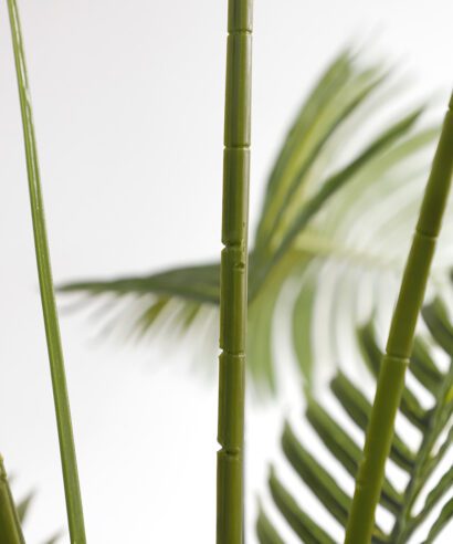 PALM TREE NP5500_240_22 ΥΨΟΣ 240cm NewPlan - 6 17 np5500 240 22 2