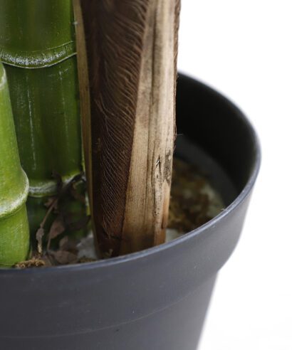 PALM TREE NP5500_240_22 ΥΨΟΣ 240cm NewPlan - 6 17 np5500 240 22 3