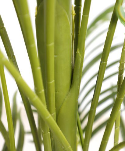 PALM TREE NP5501_210_22 ΥΨΟΣ 210cm NewPlan - 6 17 np5501 210 22 3