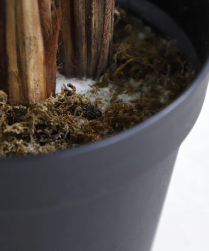 PALM TREE NP5502_180_22 ΥΨΟΣ 180cm NewPlan - 6 17 np5502 180 22 2