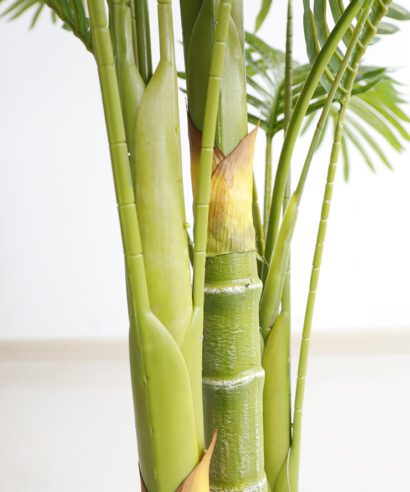 PALM TREE NP5506_180_22 ΥΨΟΣ 180cm NewPlan - 6 17 np5506 180 22 2