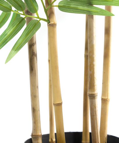 BAMBOO NP5801_180_22_UV ΥΨΟΣ 180cm NewPlan - 6 17 np5801 180 22 uv 3