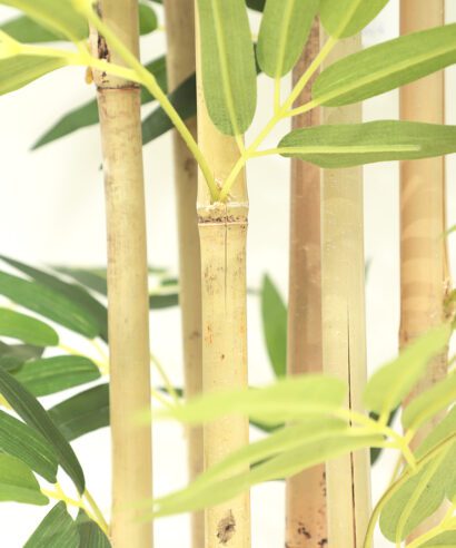 BAMBOO NP824_153 ΥΨΟΣ 153cm NewPlan - 6 17 np824 153 4