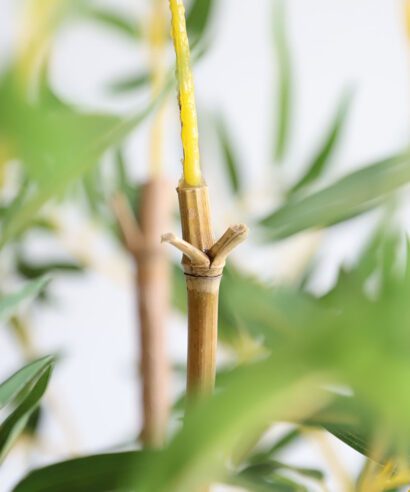 BAMBOO IN POT NP827_180_UV ΥΨΟΣ 180cm NewPlan - 6 17 np827 180 uv 3