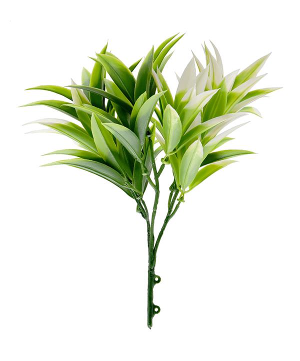 93dcdae600ea4b849d300f6f80fc31d7 ΔΙΑΚΟΣΜΗΤΙΚΟ ΜΠΟΥΚΕΤΟ (SET 10ΤΜΧ) AMALFI W007 PODOCARPUS NAGI NewPlan - 93dcdae600ea4b849d300f6f80fc31d7