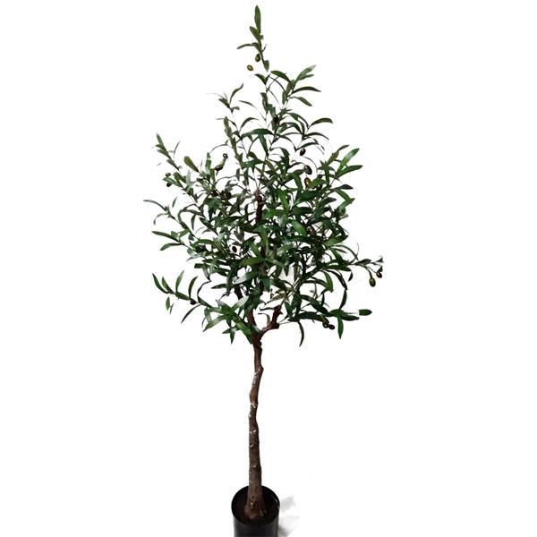 2de9a3ea16994a68b775760a9132000d OLIVE TREE NP4817_160_22 ΥΨΟΣ 160cm NewPlan - 2de9a3ea16994a68b775760a9132000d